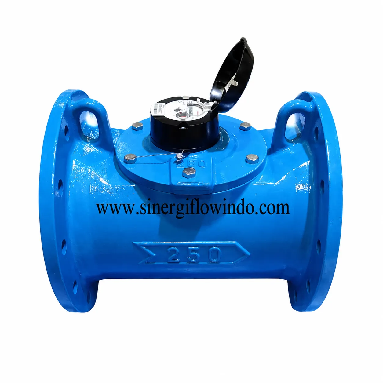 Water Meter Itron Woltex M — Size 10 Inch (DN250)
