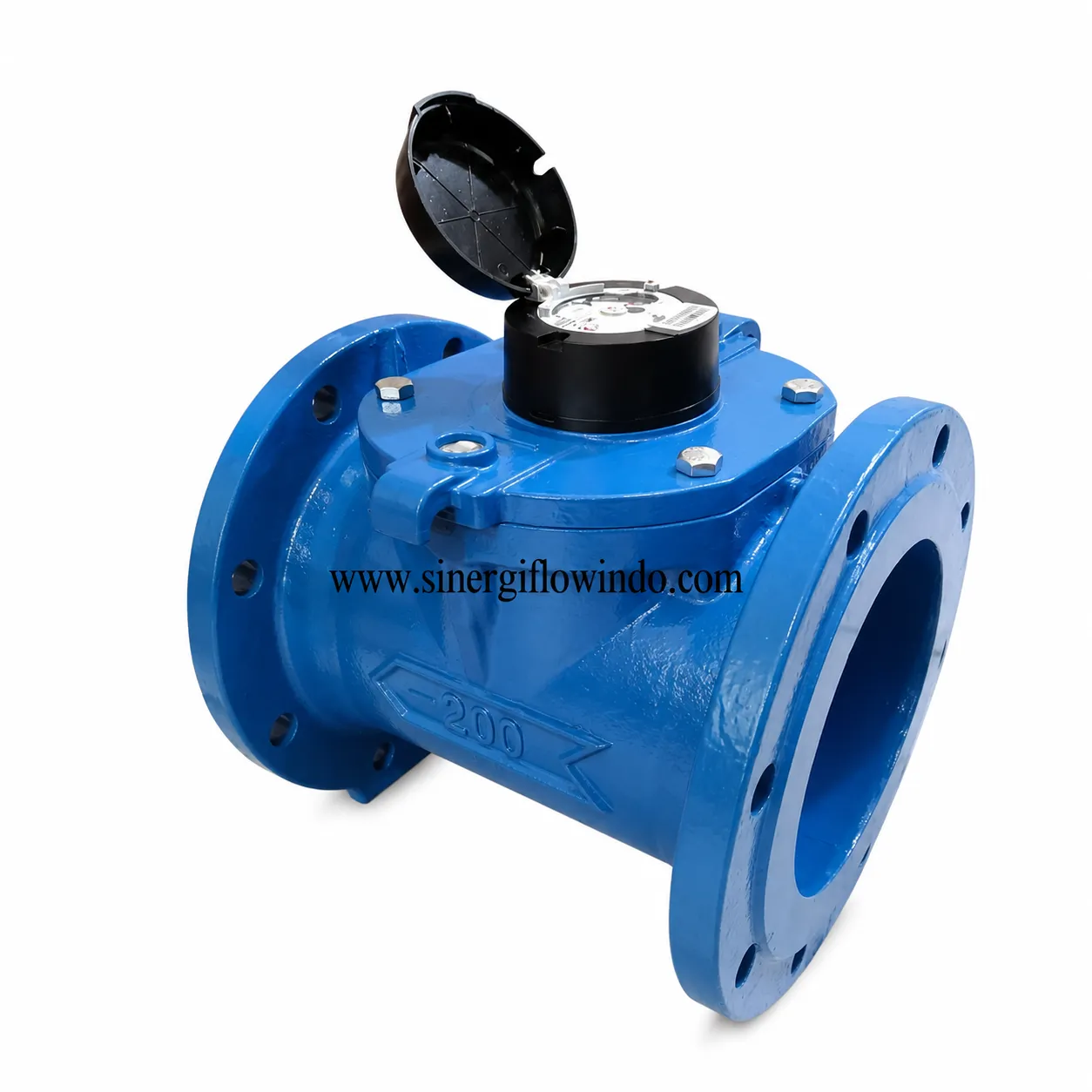 Water Meter Itron Woltex M — Size 8 Inch (DN200)