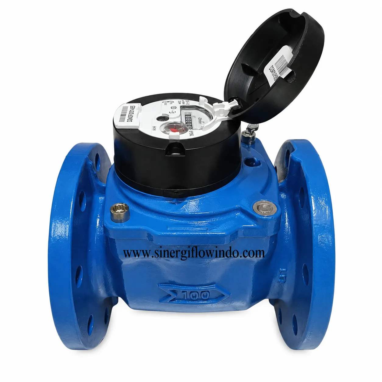 Water Meter Itron Woltex M — Size 4 Inch (DN100)