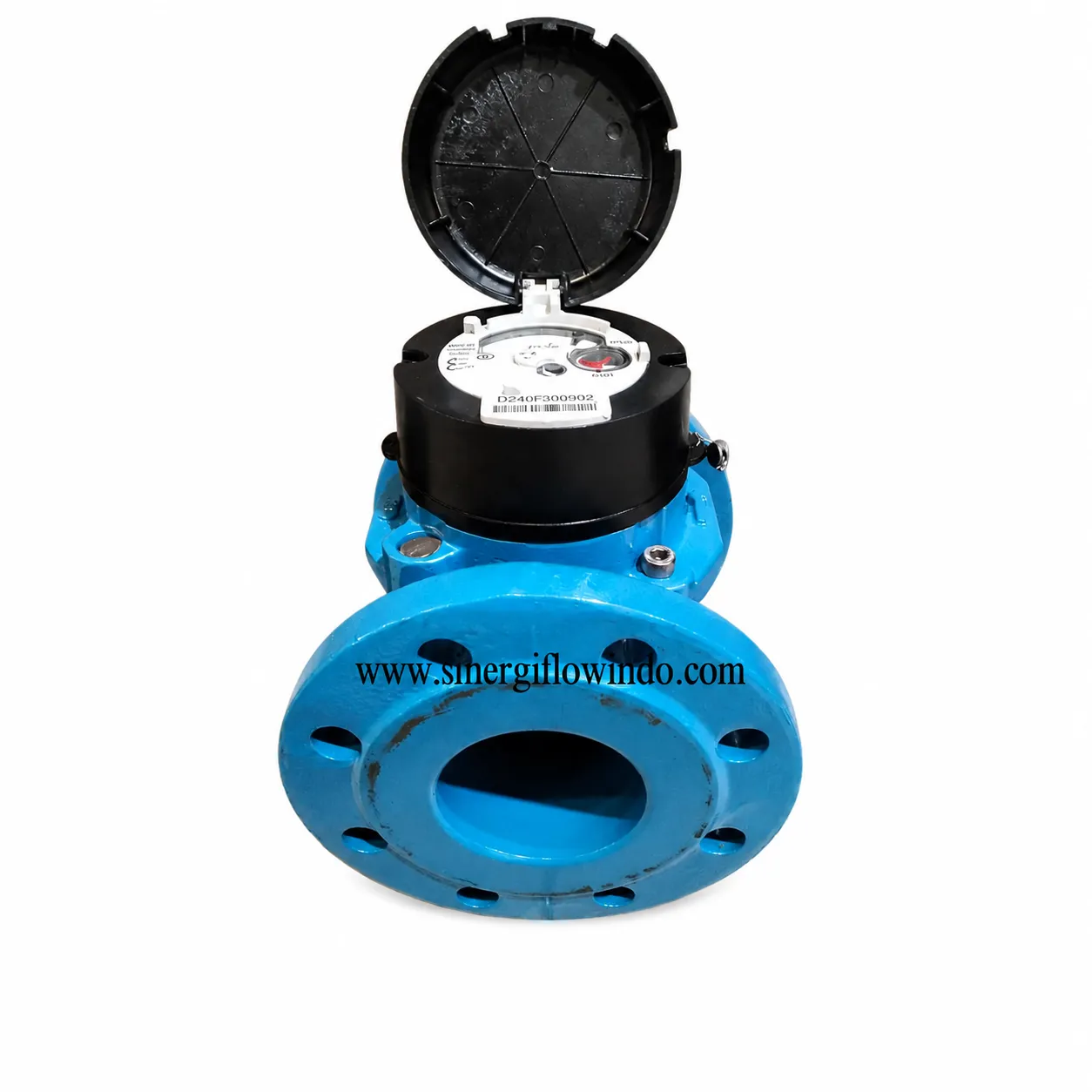 Water Meter Itron Woltex M — Size 3 Inch (DN80)