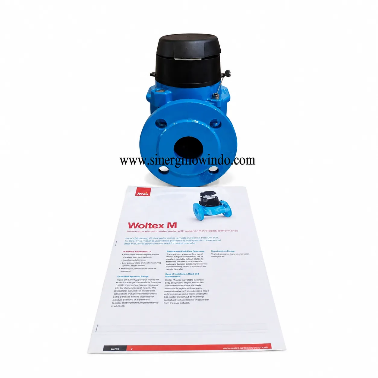 Water Meter Itron Woltex M — Size 2 Inch (DN50)