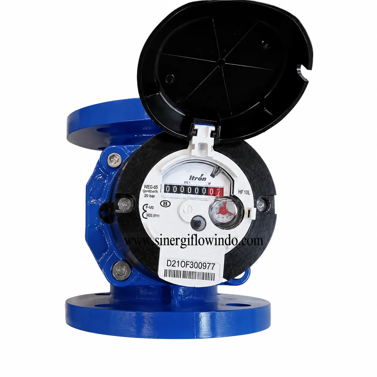 Water Meter Itron Woltex M — Size 2.5 Inch (DN65)
