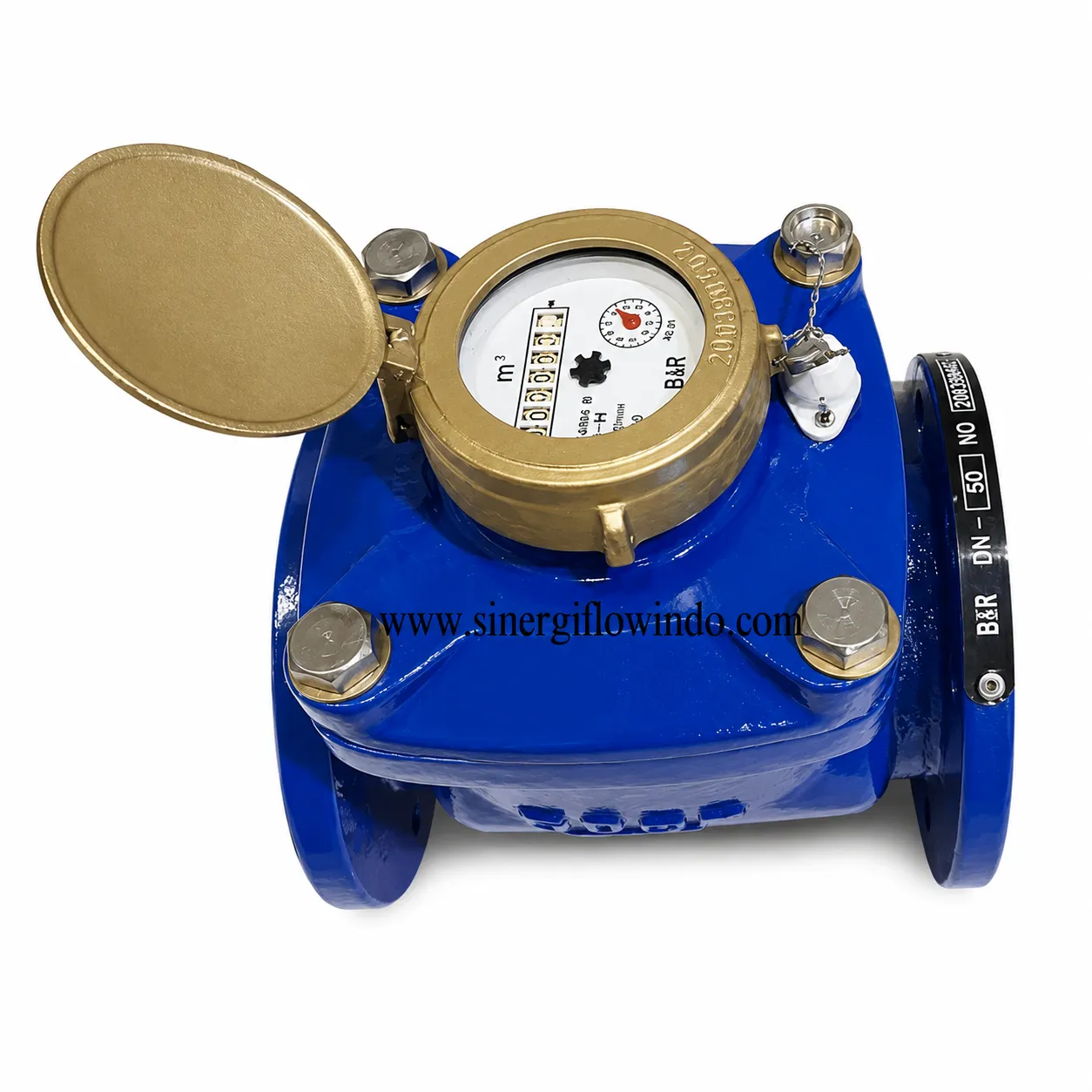Water Meter B&R LXLG — Size 2 Inch (DN50)