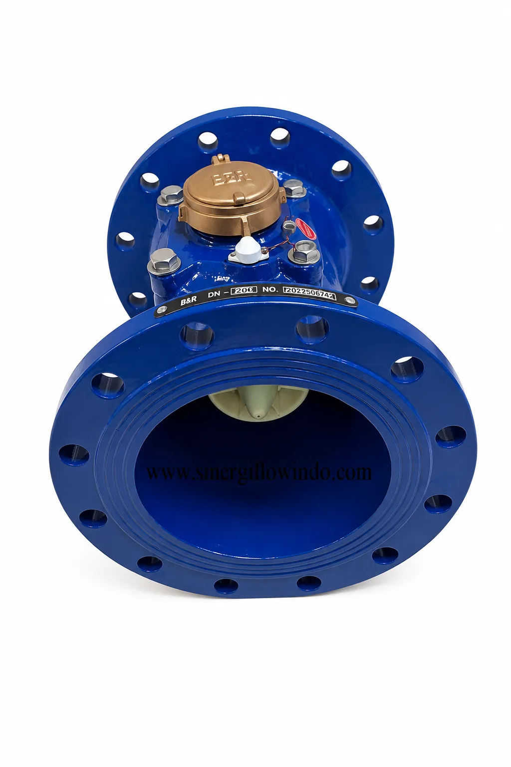 Water Meter B&R LXLG — Size 8 Inch (DN200)