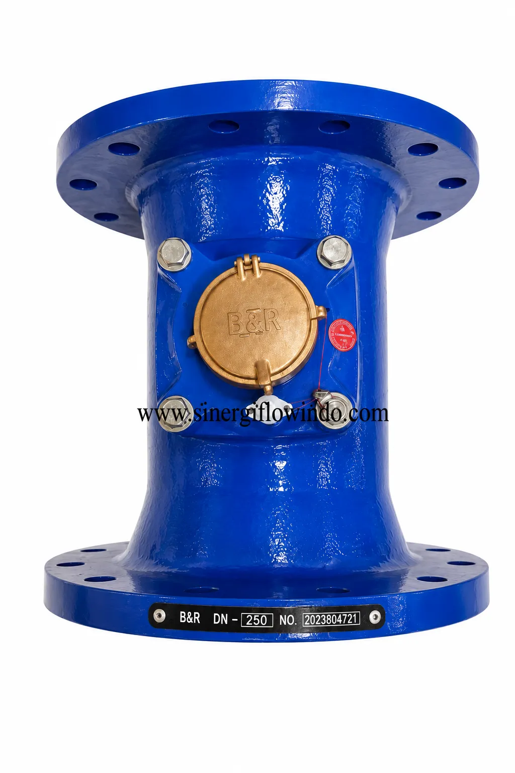 Water Meter B&R LXLG — Size 10 Inch (DN250)