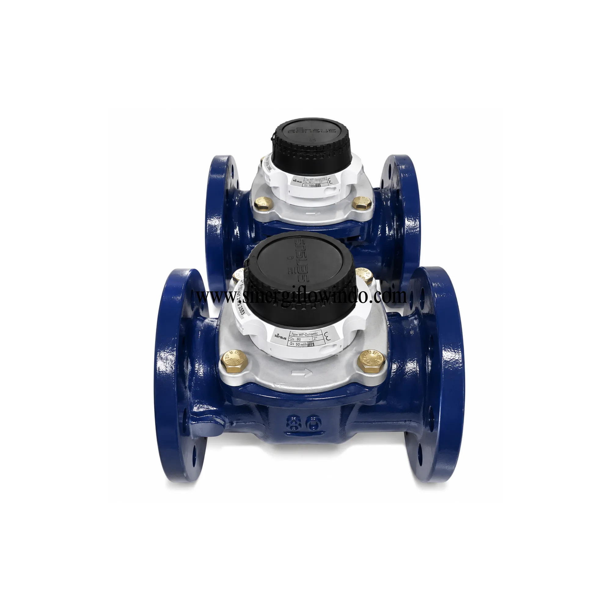 Water Meter Sensus Turbin WP-Dynamic 3 Inch (DN 80)