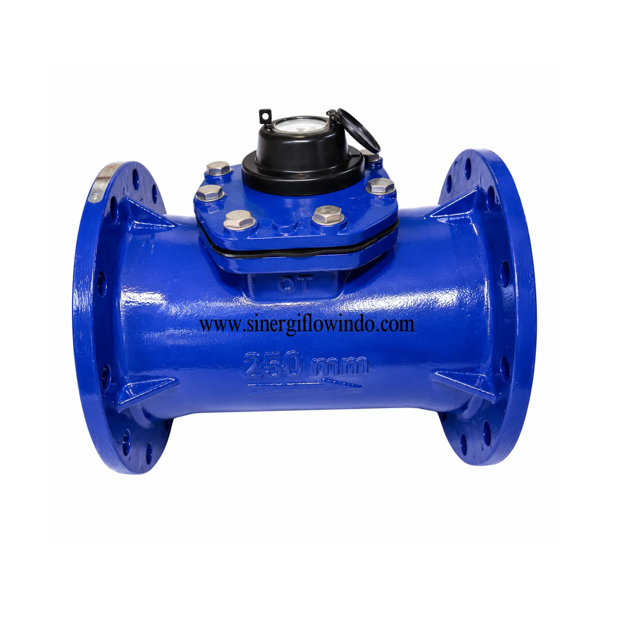 Water Meter Amico 10 Inch (250 mm) - Type LXLG/250E