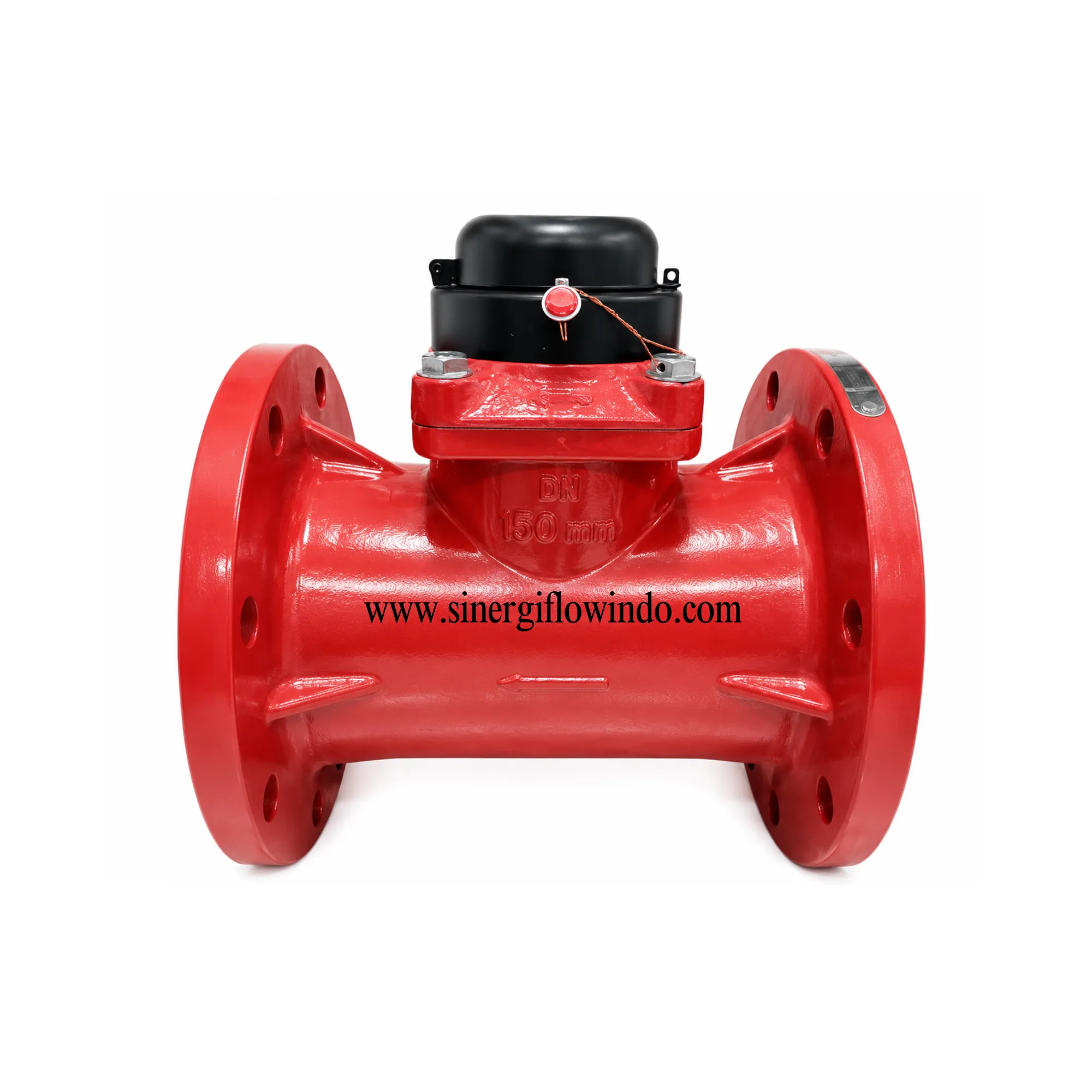 Water Meter Magnos 6 Inch DN150 - Meter Air Limbah & Irigasi Dry Dial