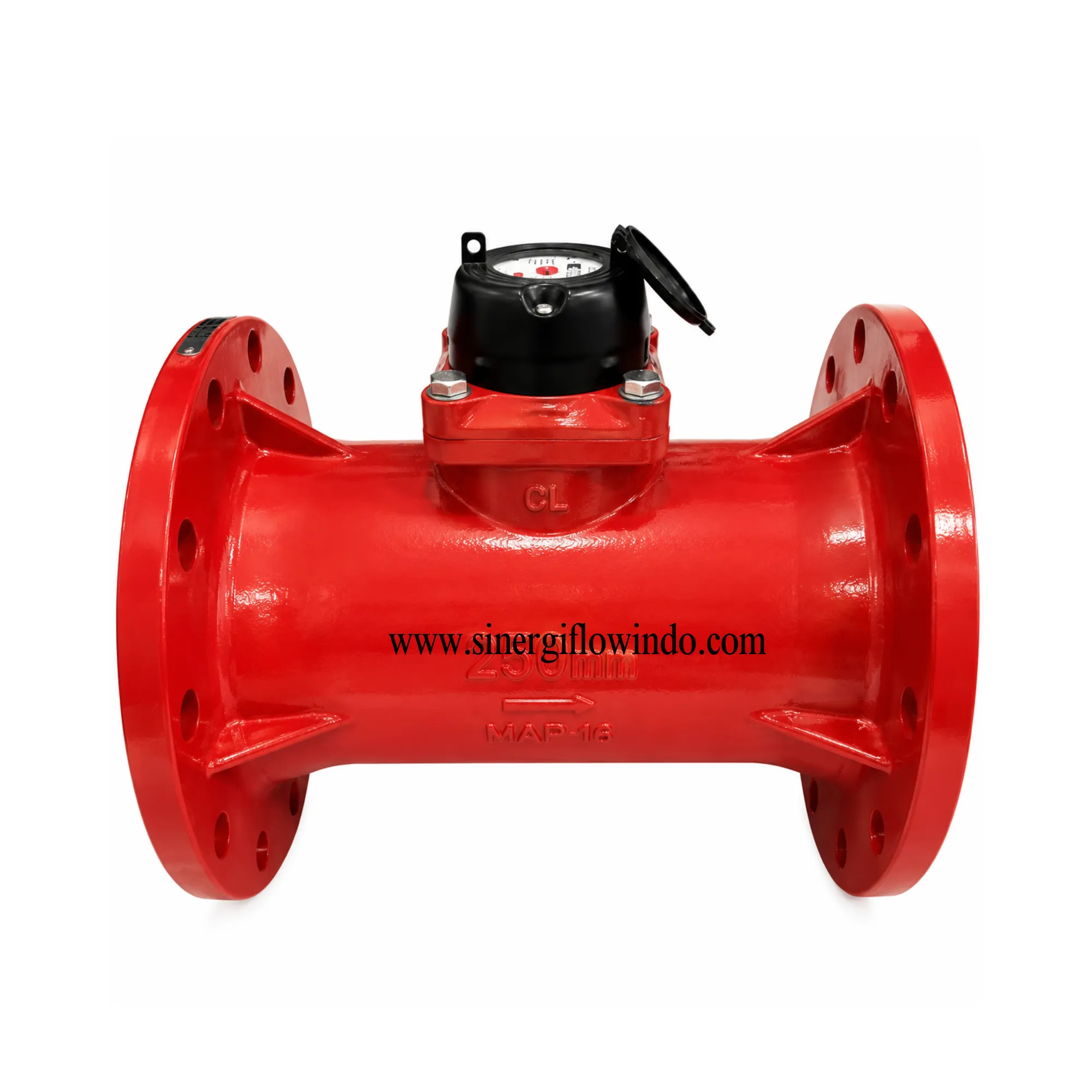 Water Meter Magnos 10 Inch DN250 - Meter Air Limbah & Irigasi Dry Dial