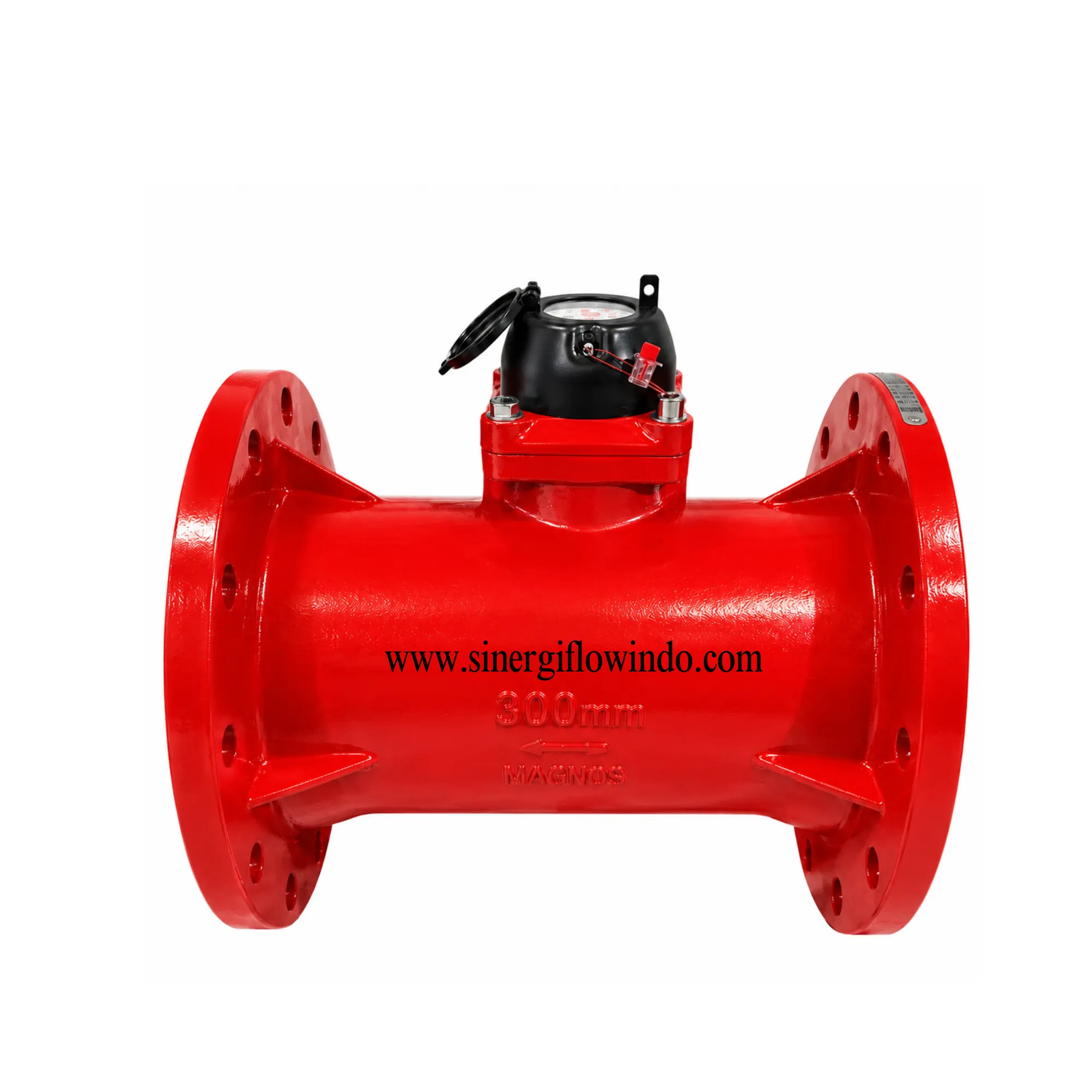 Water Meter Magnos LXXG DN300 12 Inch - Meter Air Limbah & Irigasi Dry Dial (Max 1200 m3/h)