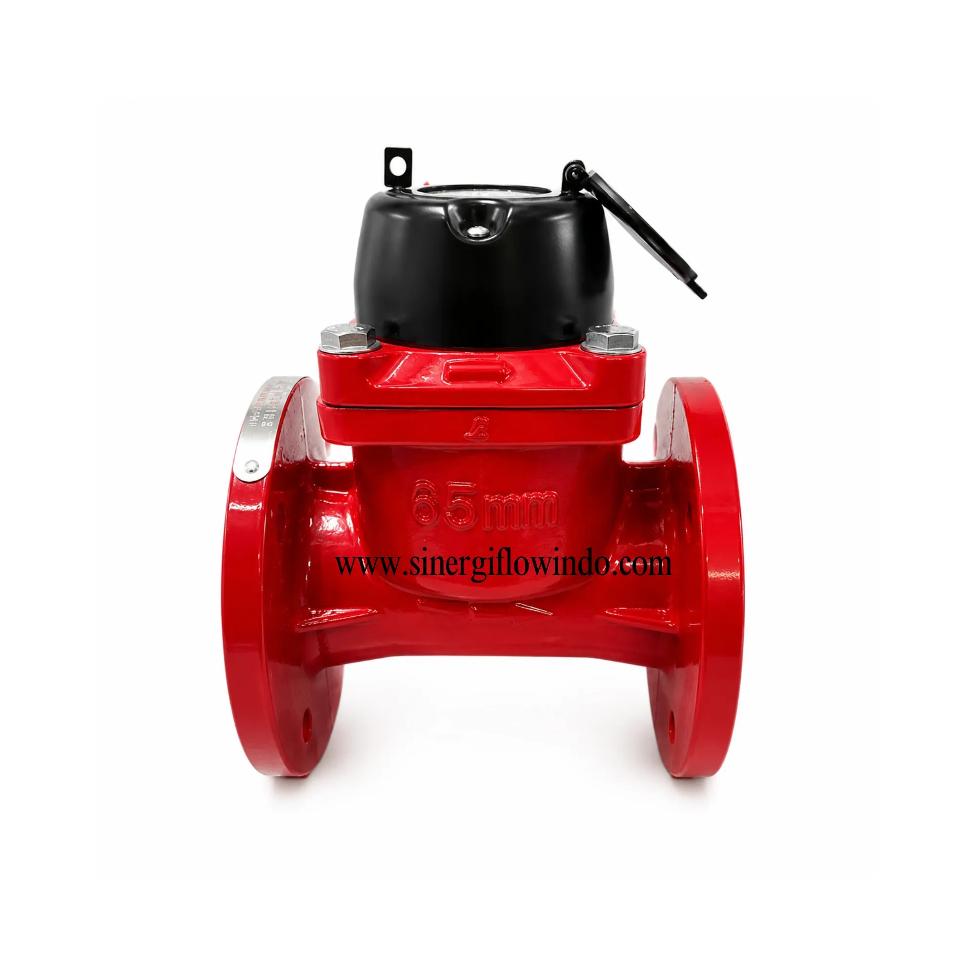 Water Meter Magnos 2,5 Inch DN65 - Meter Air Limbah & Irigasi Dry Dial