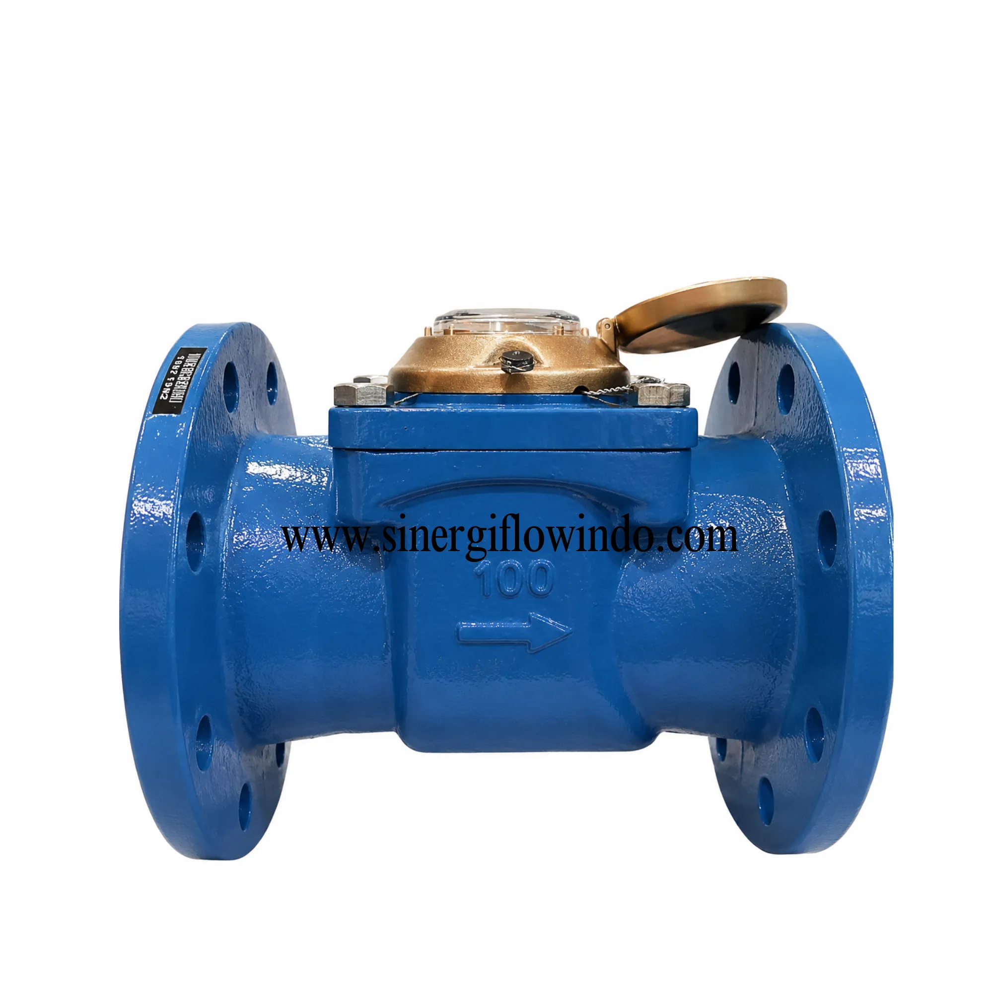 Water Meter Pogowaz Cold Water MWN Nubis DN100 (4") - Flow Rate 50 m³/h