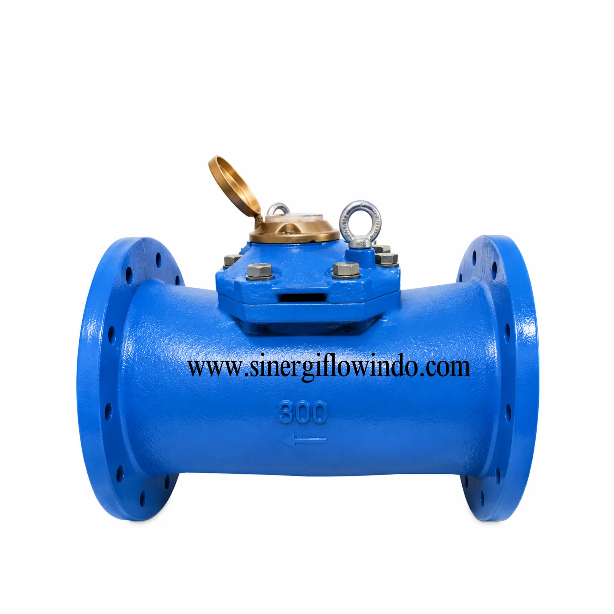 Water Meter Pogowaz Cold Water MWN Nubis DN300 (12") - Max Flow 2000 m³/h